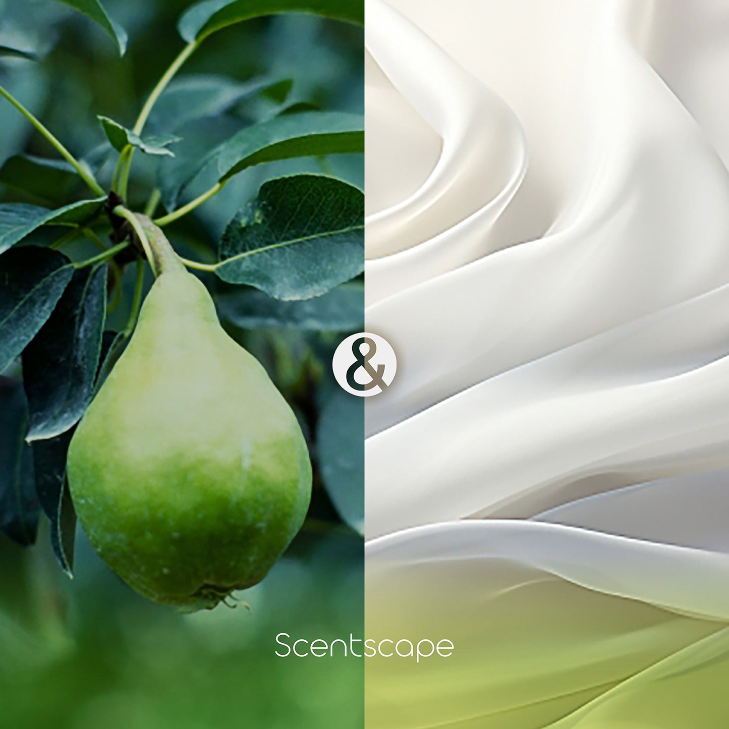 Japanese Incense Sticks ScentScape – Pear & White Musk (30 Sticks)